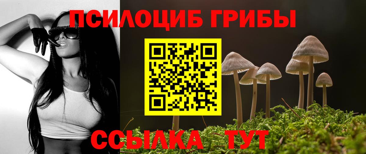 Бутурлиновка  Псилоцибиновые грибы ЛСД  Вход с VPN 
